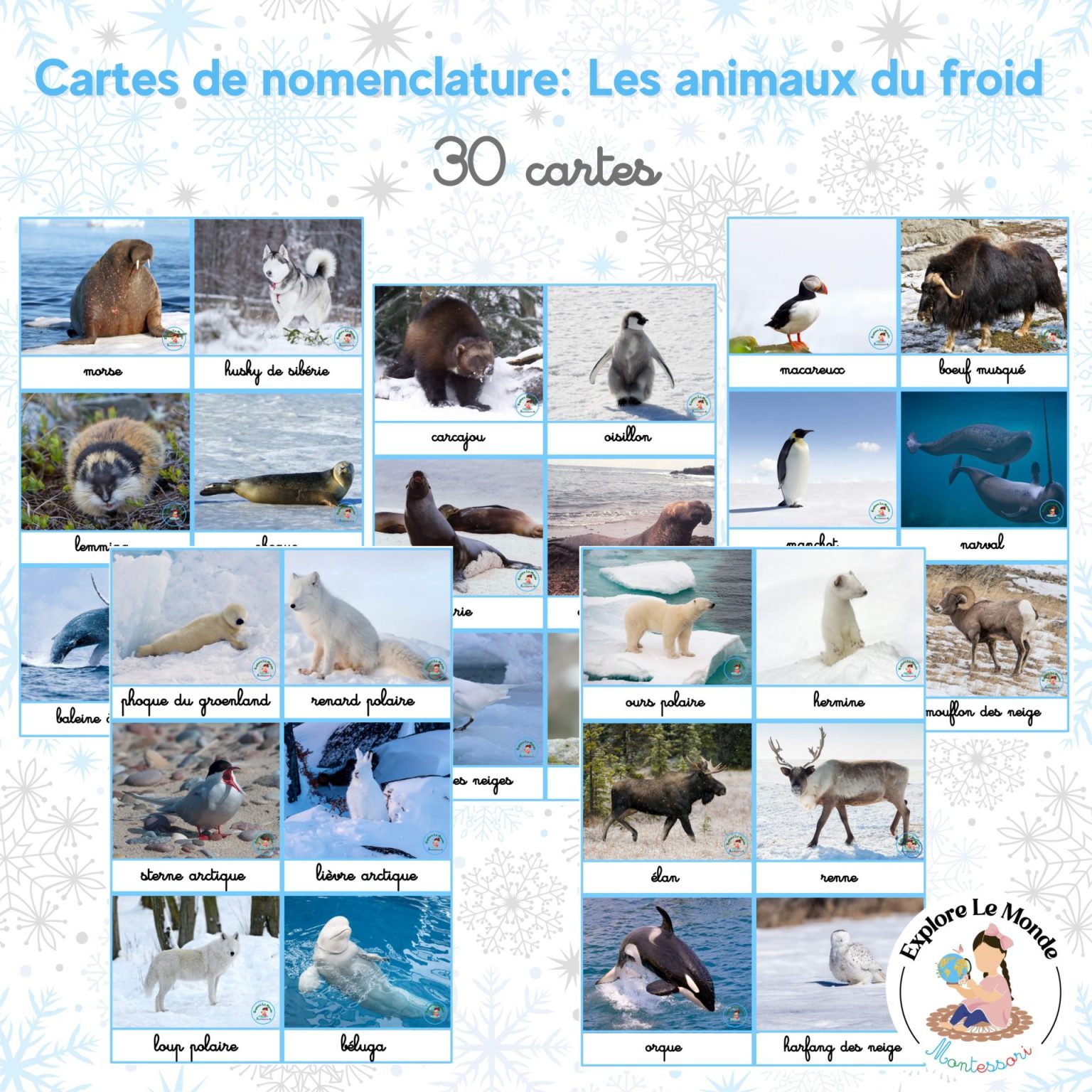 Cartes de nomenclature : animaux du froid - Explore le monde Montessori
