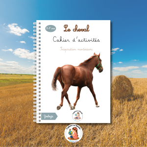 Livret d’activités thème cheval 3-7 ans