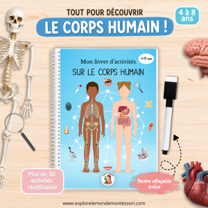 Livret d’activités – Le Corps Humain